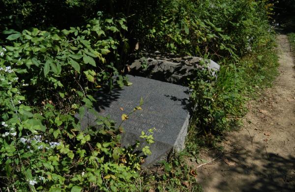Shields: Bachelor's Grove Cemetery