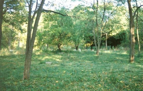 open area: Bachelor's Grove Cemetery