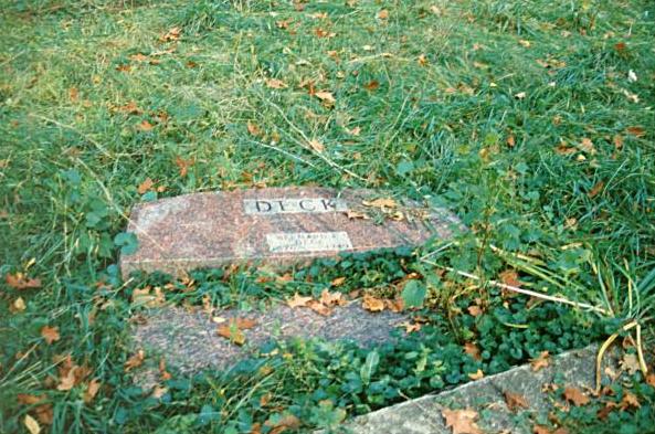 Deck: Bachelor's Grove Cemetery