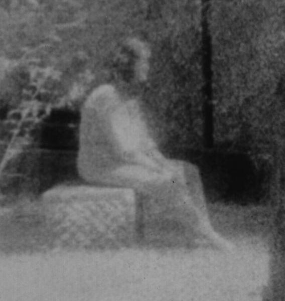 Bachelor's Grove Cemetery: Famous Ghost Photo
