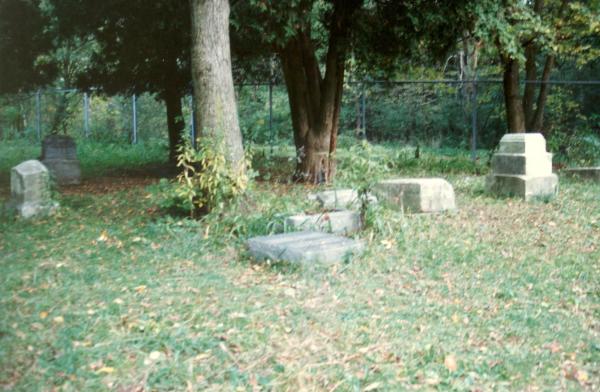 Looking East: Bachelor's Grove Cemetery