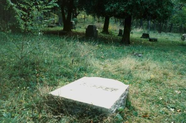 Rippet: Bachelor's Grove Cemetery