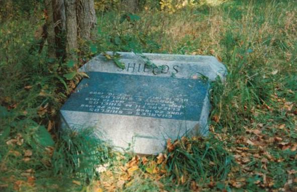 Shields: Bachelor's Grove Cemetery