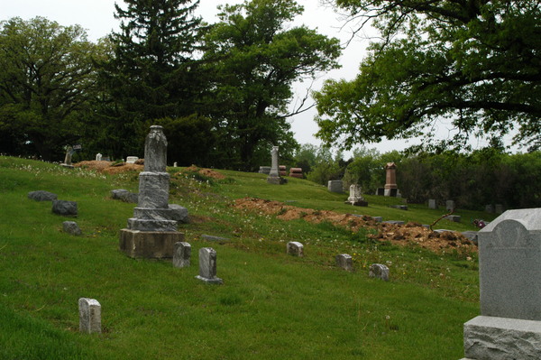 Oakland Cemetery, Woodstock:rough ground