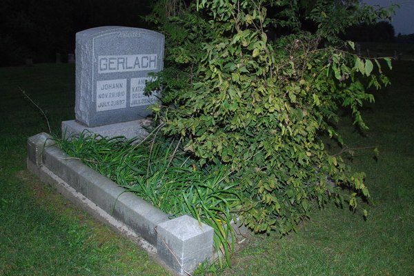 Evangelical St. Marcus Cemetery: Gerlach and tree