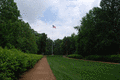 Pioneer Cemetery