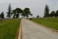 Calvary Cemetery in Christian County, Illinois