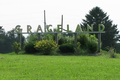 Graceland Cemetery in Macon County, Illinois