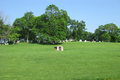 Todds Point Cemetery in Moultrie County, Illinois