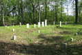 Woolington Cemetery in Piatt County, Illinois
