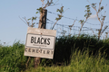 Blacks Cemetery in Schuyler County, Illinois