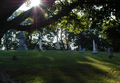 Moorefield Methodist Episcopal Cemetery in Clark County, Ohio