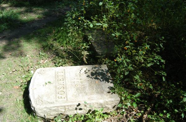 Foskett: Bachelor's Grove Cemetery