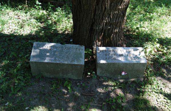 McKee: Bachelor's Grove Cemetery