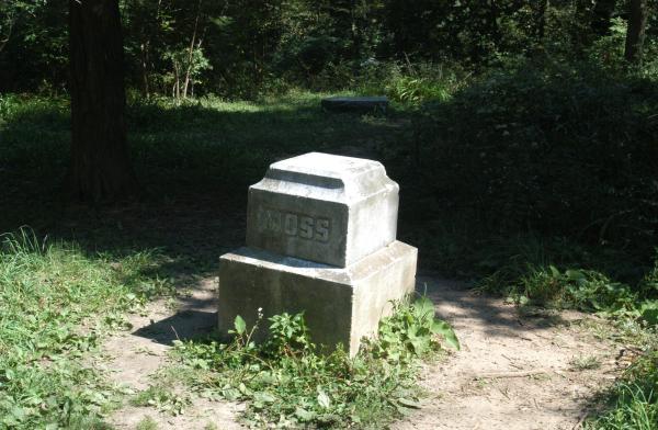 Moss: Bachelor's Grove Cemetery