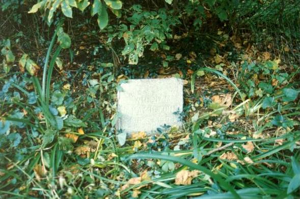 William Hamilton: Bachelor's Grove Cemetery