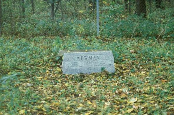 Newman: Bachelor's Grove Cemetery