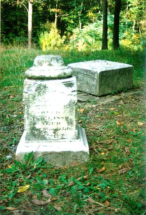 Patrick: Bachelor's Grove Cemetery