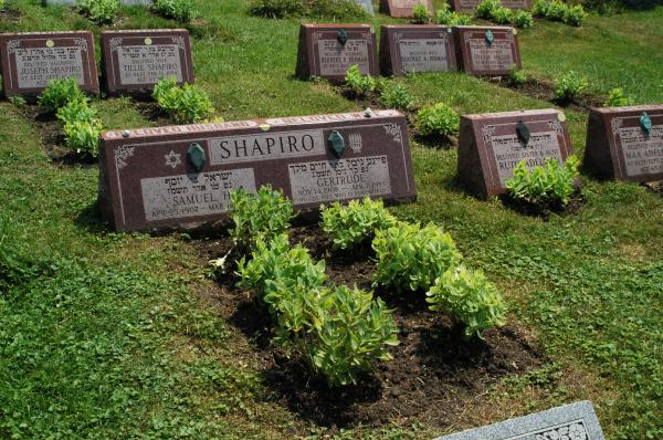 Waldheim Jewish Cemeteries: Samuel Harvey Shapiro, Governor of Illinois