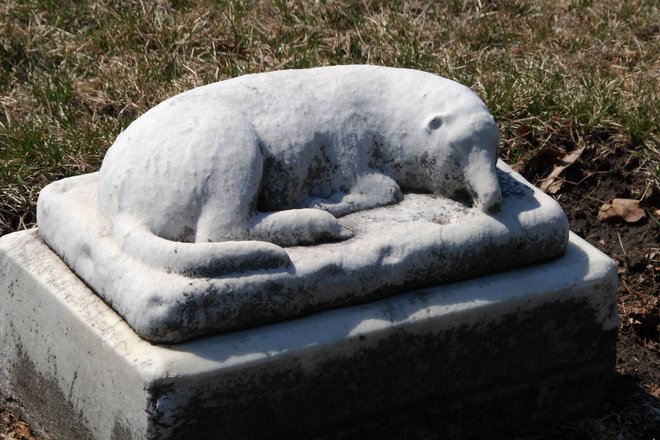 Mound Grove Cemetery: lamb