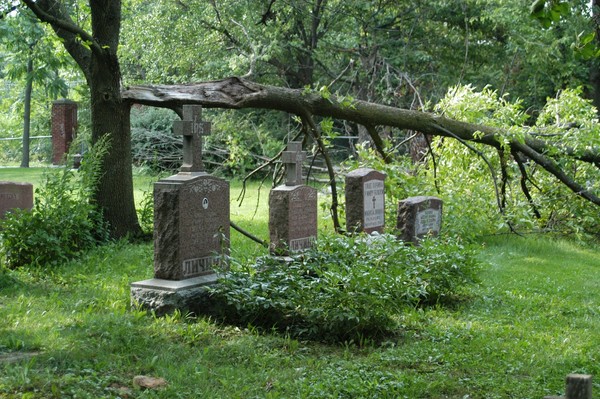 Russian Cemetery: Broken Branch