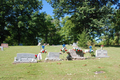 Cummins Cemetery in Alexander County, Illinois