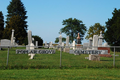 Poplar Grove Cemetery in Boone County, Illinois