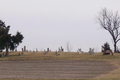 Fisher Cemetery in Champaign County, Illinois