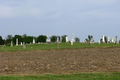 Jessee Cemetery in Champaign County, Illinois
