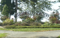 Morrisonville Cemetery in Christian County, Illinois