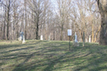 Barnes Cemetery in De Witt County, Illinois