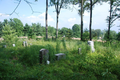 Lawler Cemetery in Gallatin County, Illinois