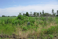 Rietmann Cemetery in Madison County, Illinois