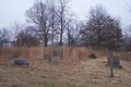 Watt Cemetery in Madison County, Illinois