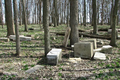 Leveldale Cemetery in Mason County, Illinois