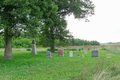 Nichols Cemetery in Montgomery County, Illinois