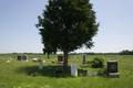 Morgan Cemetery in Sangamon County, Illinois