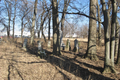 Smith Cemetery in Sangamon County, Illinois