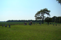 Wolf Creek Cemetery in Shelby County, Illinois