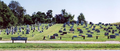 Saint James Catholic Cemetery in St. Clair County, Illinois