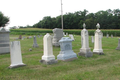 Haines (Haynes) or Rankin Cemetery in Tazewell County, Illinois