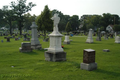 Saint Patricks Cemetery in Will County, Illinois